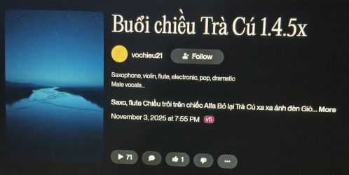 VC21-04-BUOI-CHIEU-TRA-CU.jpg